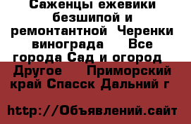 Саженцы ежевики безшипой и ремонтантной. Черенки винограда . - Все города Сад и огород » Другое   . Приморский край,Спасск-Дальний г.